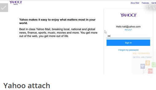 Yahoo Attached Page